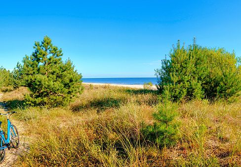 Ścieżki piesze i rowerowe